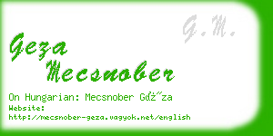 geza mecsnober business card